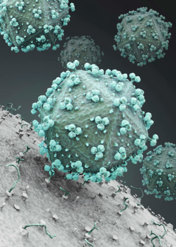 Вирус ВИЧ атакует клетки организма