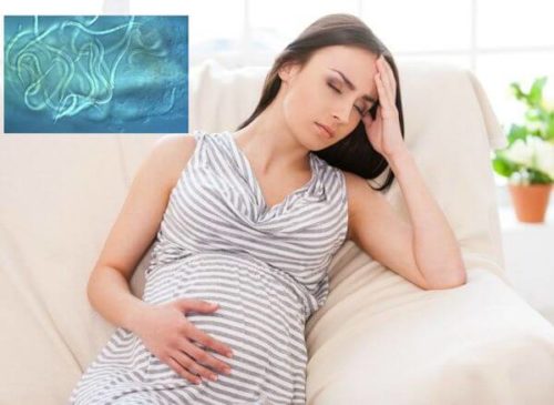 Гельминтоз у беременных