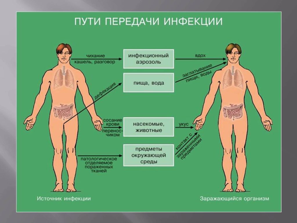 Пути заражения. Пути распространения инфекционных болезней. Пути передачи инфекционных заболеваний. Пути передачи инфекционныхзпбрлеваний. Инфекционные заболевания пути передачи инфекции.