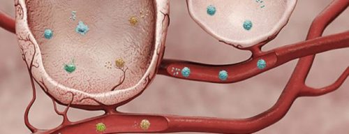 Раково-эмбриональный антиген в полых областях